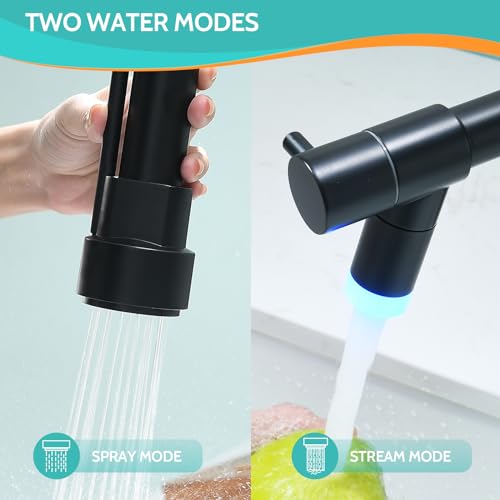 Matte Black LED Kitchen Faucet with Pull Down Sprayer