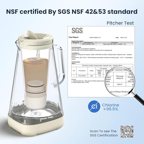 3X Flow Water Pitcher Filter Compatible with LS Home