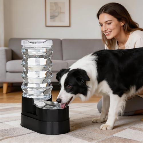 9L Elevated Dog Water Dispenser