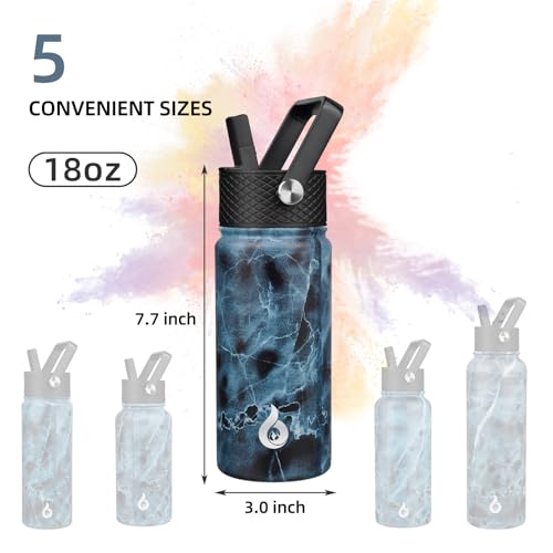 18oz Insulated Water Bottle with Straw Lid