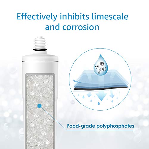 AP431 Whole House Scale Inhibitor Water Filter (3 Count)