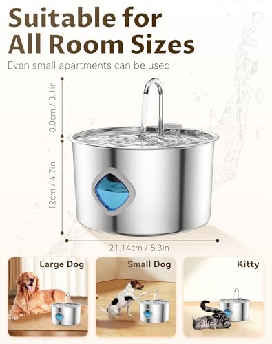 Dog Bowl for Small Dogs