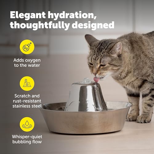 Seaside Stainless Cat & Dog Fountain with 4
