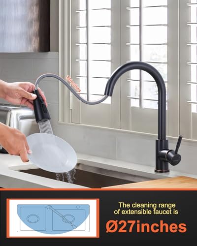 Bronze Kitchen Faucet with Sprayer
