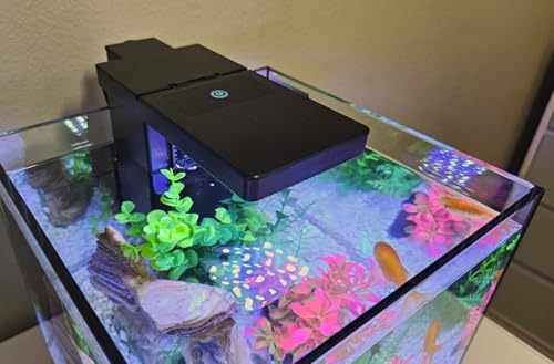 Duo 2 in 1 Submersible Aquarium Filter with LED Light
