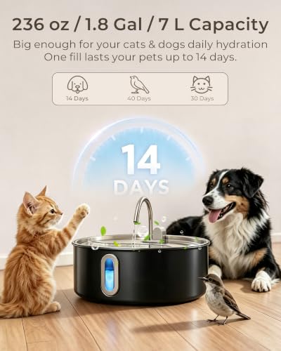7L 236oz Stainless Steel Large Dog Water Fountain Matte Black