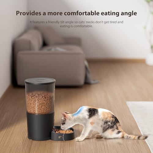 Automatic Cat Feeders
