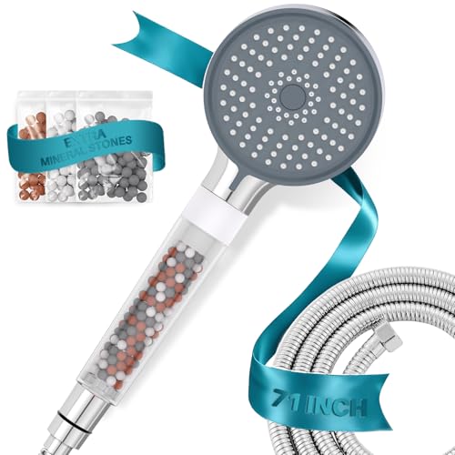 Filtered Shower Head with 71 Inch Hose (6 Count)