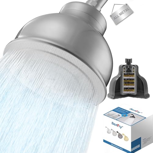Stainless Steel Shower Head with Filters