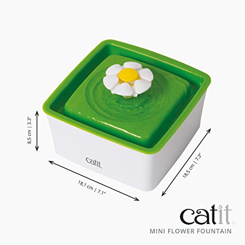 2.0 Mini Flower Drinking Fountain