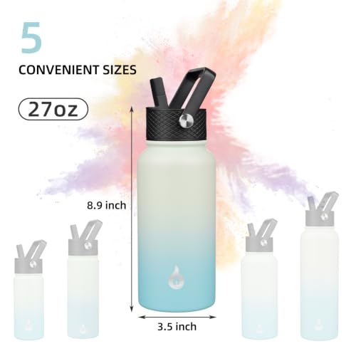 27oz Insulated Water Bottle with Straw Lid