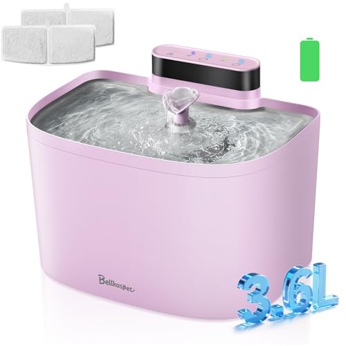 Cat Water Fountain