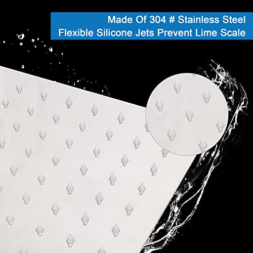 Shower Head with Extension Arm