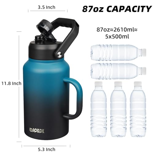 87oz Stainless Steel Water Bottle