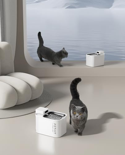 EVERSWEET MAX Cordless Cat Water Fountain with Motion Sensor