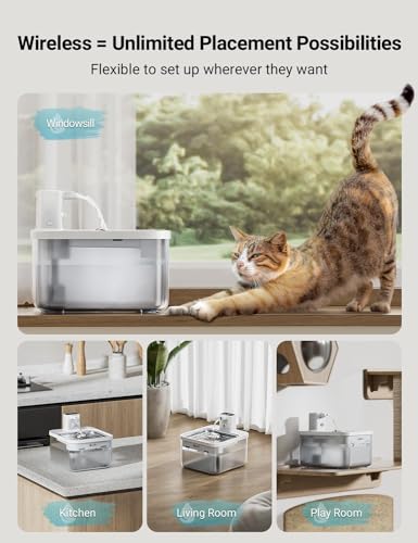 Cat Water Fountain Cordless