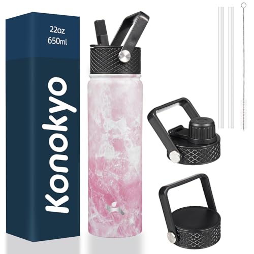 22 oz Insulated Stainless Steel Water Bottle with Straw Lid