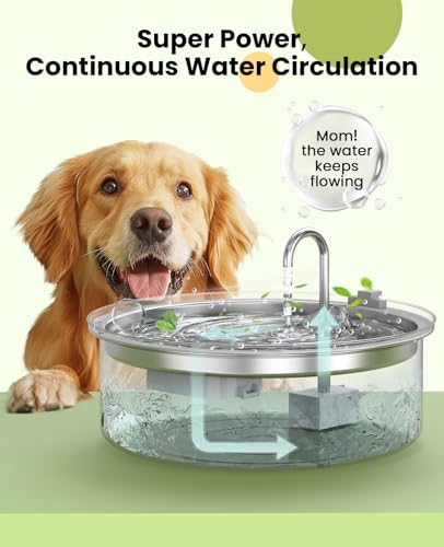 Replacement Pump for PWF