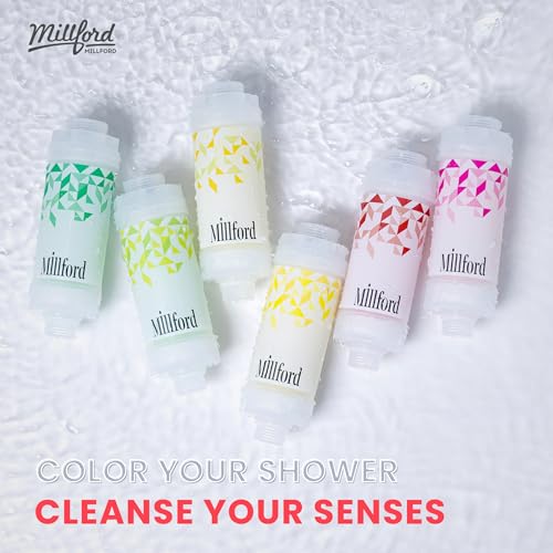 Vitamin C Shower Filter