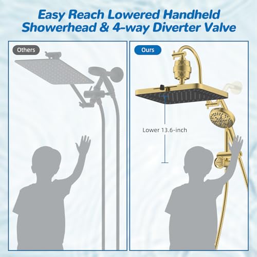 5 spray Dual Filtered Rainfall Shower Head with 10 Spray Handheld