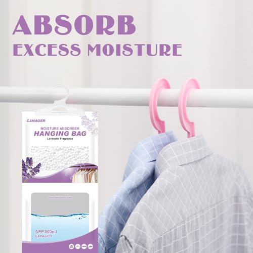 Hanging Moisture Absorber