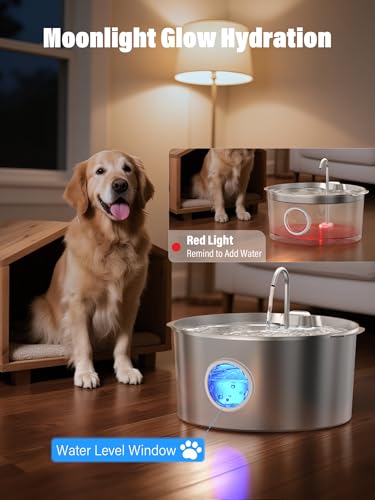 3.4Gal Dog Water Fountain for Large Dogs