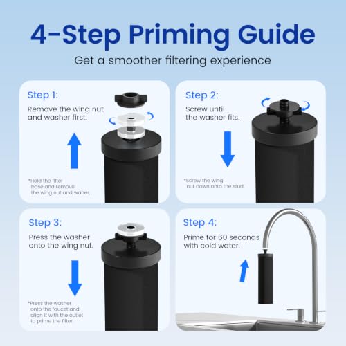 PF-2 Black 2-Stage Purification Elements, 2 Pack, K Series (2 Count)