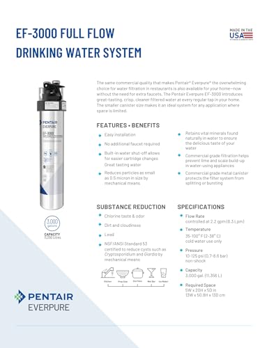 Pentair Everpure EF