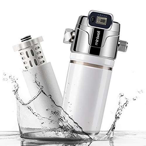 Luxury Shower Filter L760