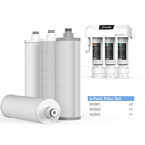 M3005 Replacement Filter Cartridge Set (4 Count)