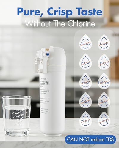 3 in 1 Kitchen Faucet with Pull Down Sprayer and Water Filter