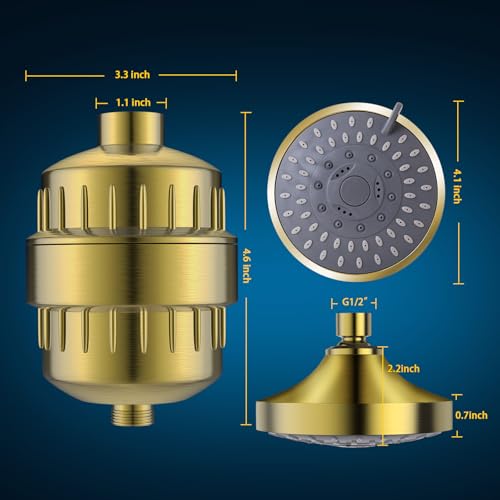 Shower Head with Shower Filter