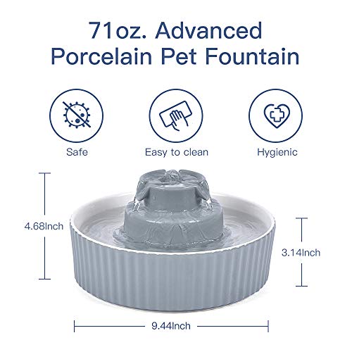 Pet Drinking Fountain (70 Fl Oz)