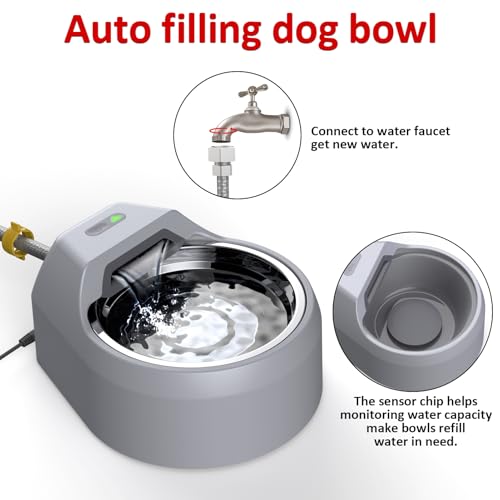Dog Fountain Auto Filling Dog Water Dispenser