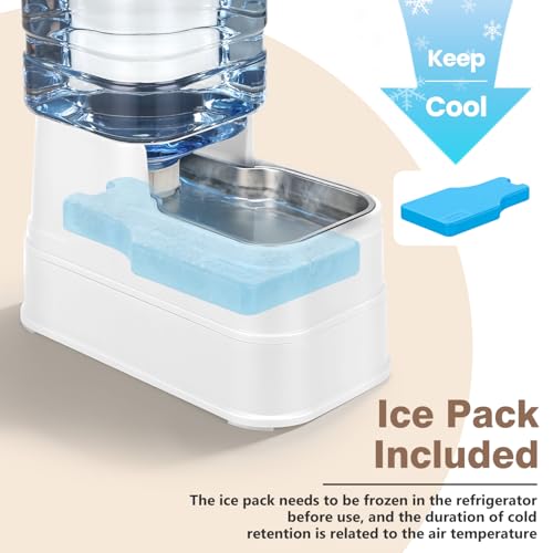 2.2 Gallon Pet Automatic Dog Water Dispenser Cat Gravity Waterer Feeder with Stainless Steel Bowl Large Capacity Puppy Feeding Raised Bowls with Filter