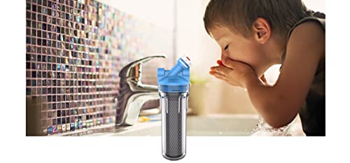 Pentair OMNIFilter U30 Filter System