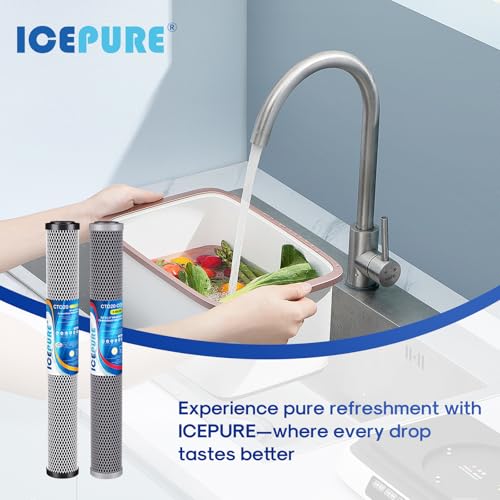 2.5"x 20" Whole House Carbon Sediment Water Filter High Capacity Combo Kit (2 Count)