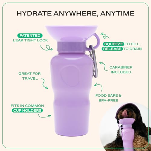 Springer Dog Water Bottle
