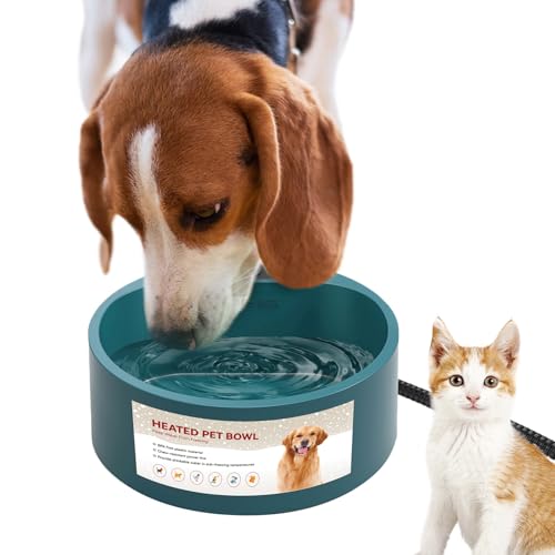 Heated Water Bowl for Outdoor Cats
