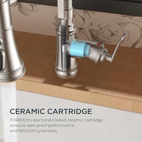Kitchen Faucet with Pull Down Sprayer