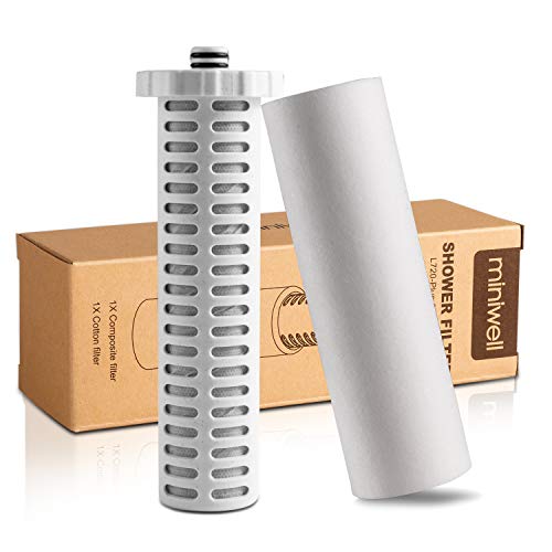 Shower Filter 720