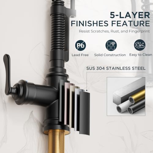 Black Kitchen Faucet with Pull Down Sprayer