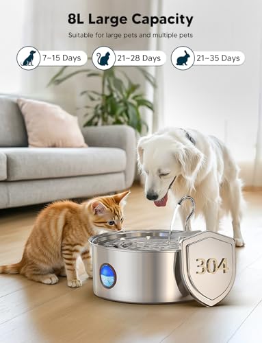 Dog Water Fountain for Large Dogs