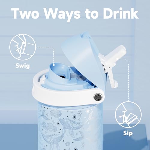 24 oz Insulated Water Bottle with Straw