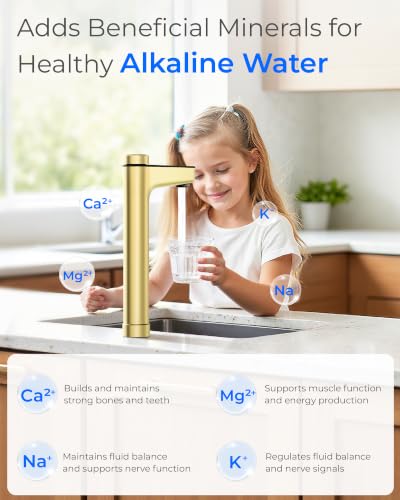 X12 WAJ Alkaline Mineral Reverse Osmosis Water Filter