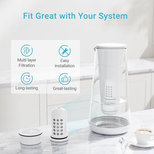 Filter Replacement for LS Home Pitcher Filter