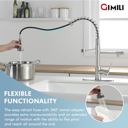 Filter Kitchen Faucet Drinking Water Faucet 3 in 1 Brushed Nickel