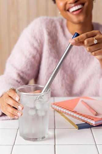 Sip Reusable Stainless Steel Water Filter Drinking Straw with Carry Case