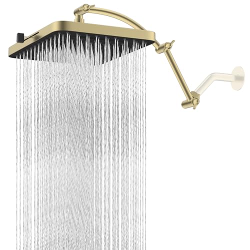 Rain Shower Head