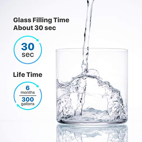 RS25J500DSR AA Replacement for Samsung Refrigerator Water Filter Compatible with Samsung RS25J500DSR (2 Count)